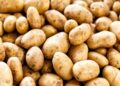 सावधान! बाजार में धड़ल्ले से बिक रहा नकली आलू, कहीं आप भी ना हो जाएं धोखाधड़ी का शिकार!