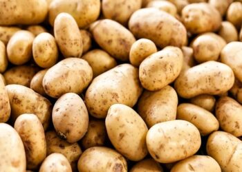सावधान! बाजार में धड़ल्ले से बिक रहा नकली आलू, कहीं आप भी ना हो जाएं धोखाधड़ी का शिकार!