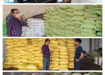 रबी फसलों की बुवाई हेतु समितियों का भौतिक निरीक्षण किया